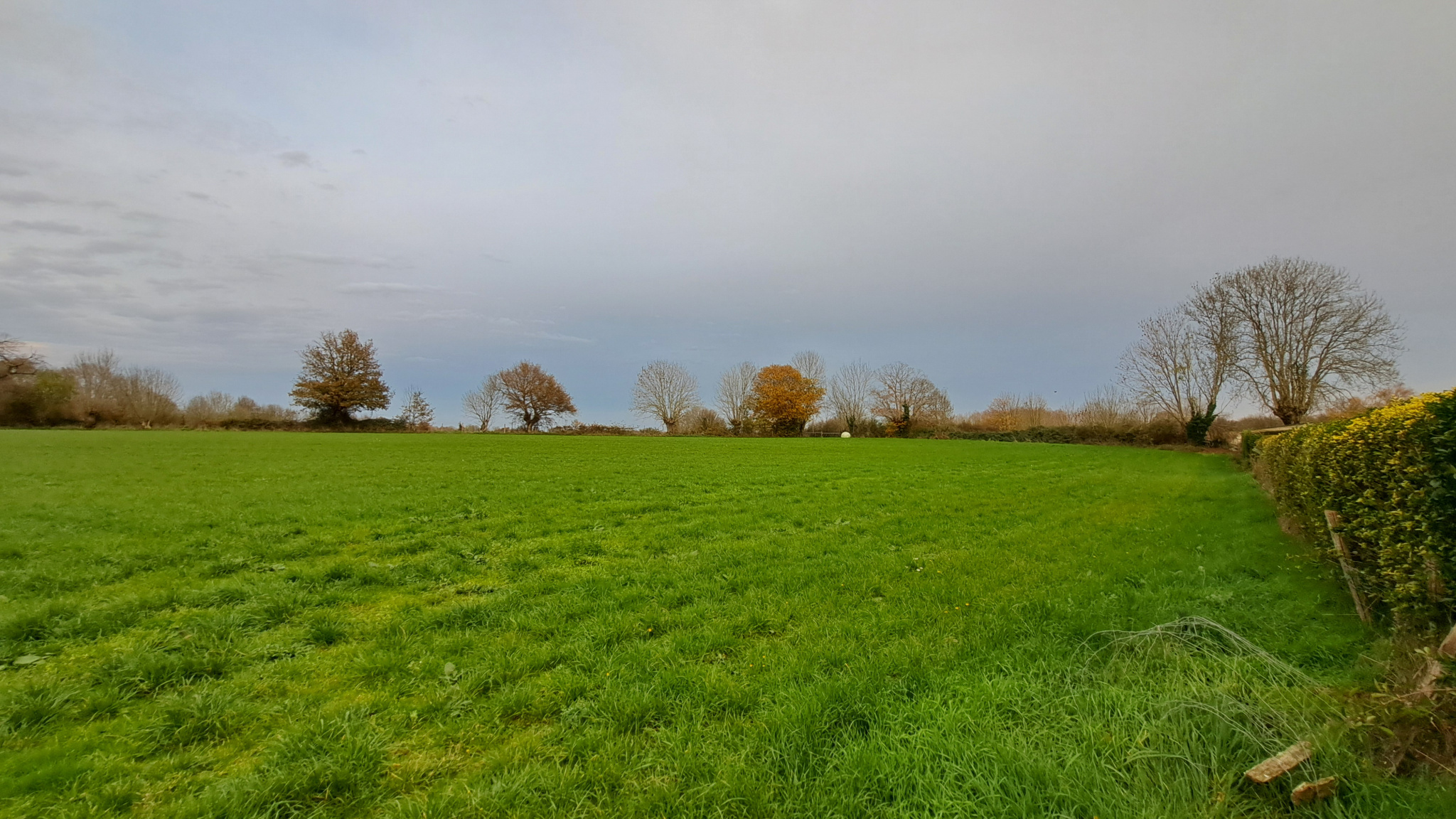 Terrain à Bâtir et Agricole